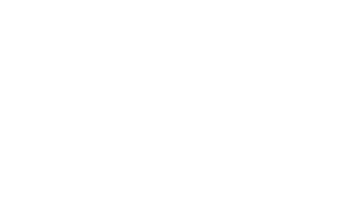 alloy small white logo