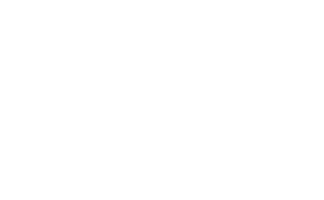 dwolla small white logo