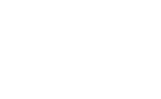 telesign small white logo