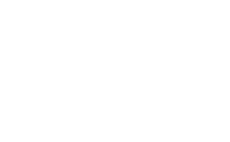 incode small white logo